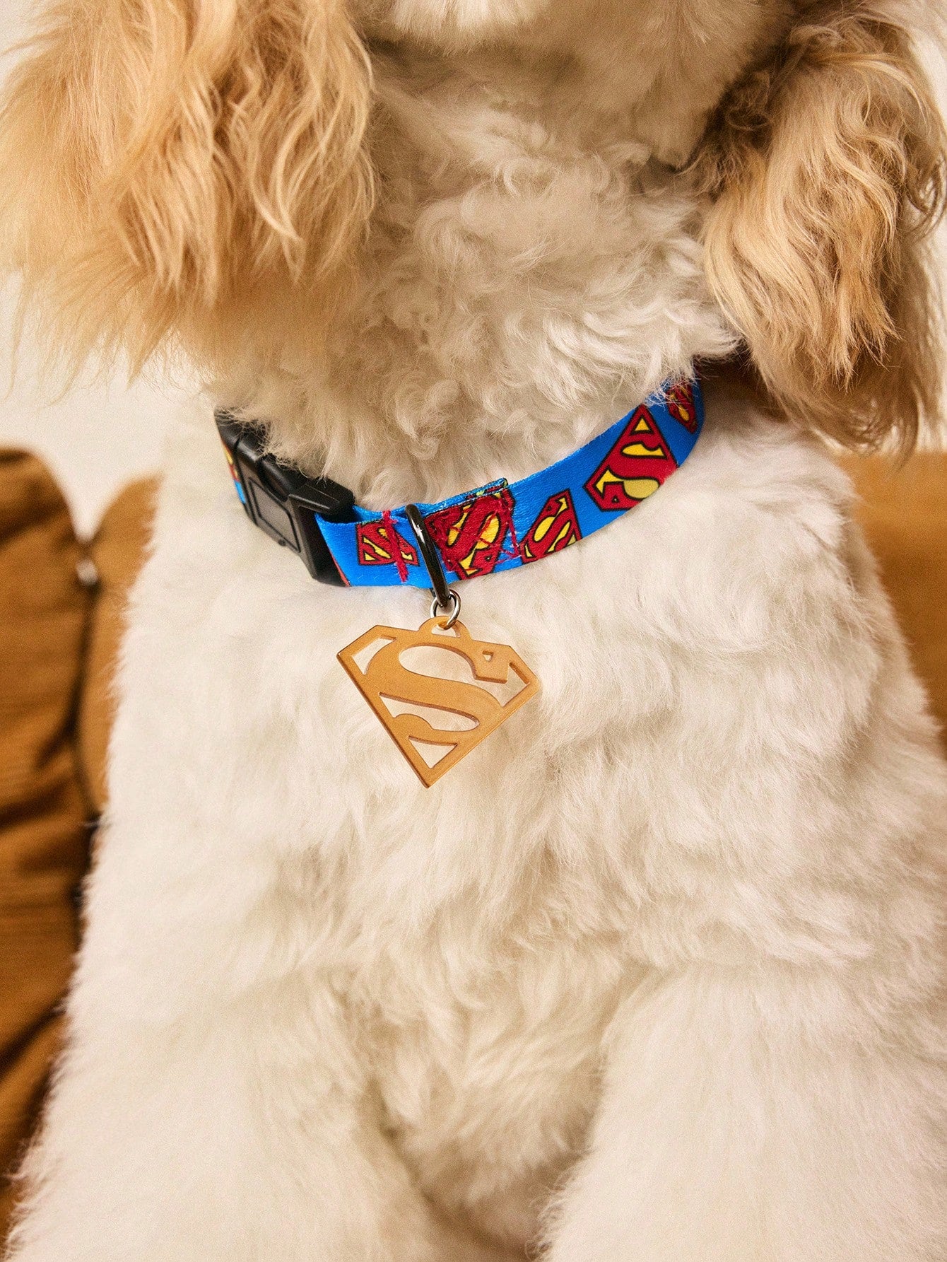 Multicolor cartoon pattern pet collar and leash set with adjustable polyester straps and portable storage bag for cats and dogs