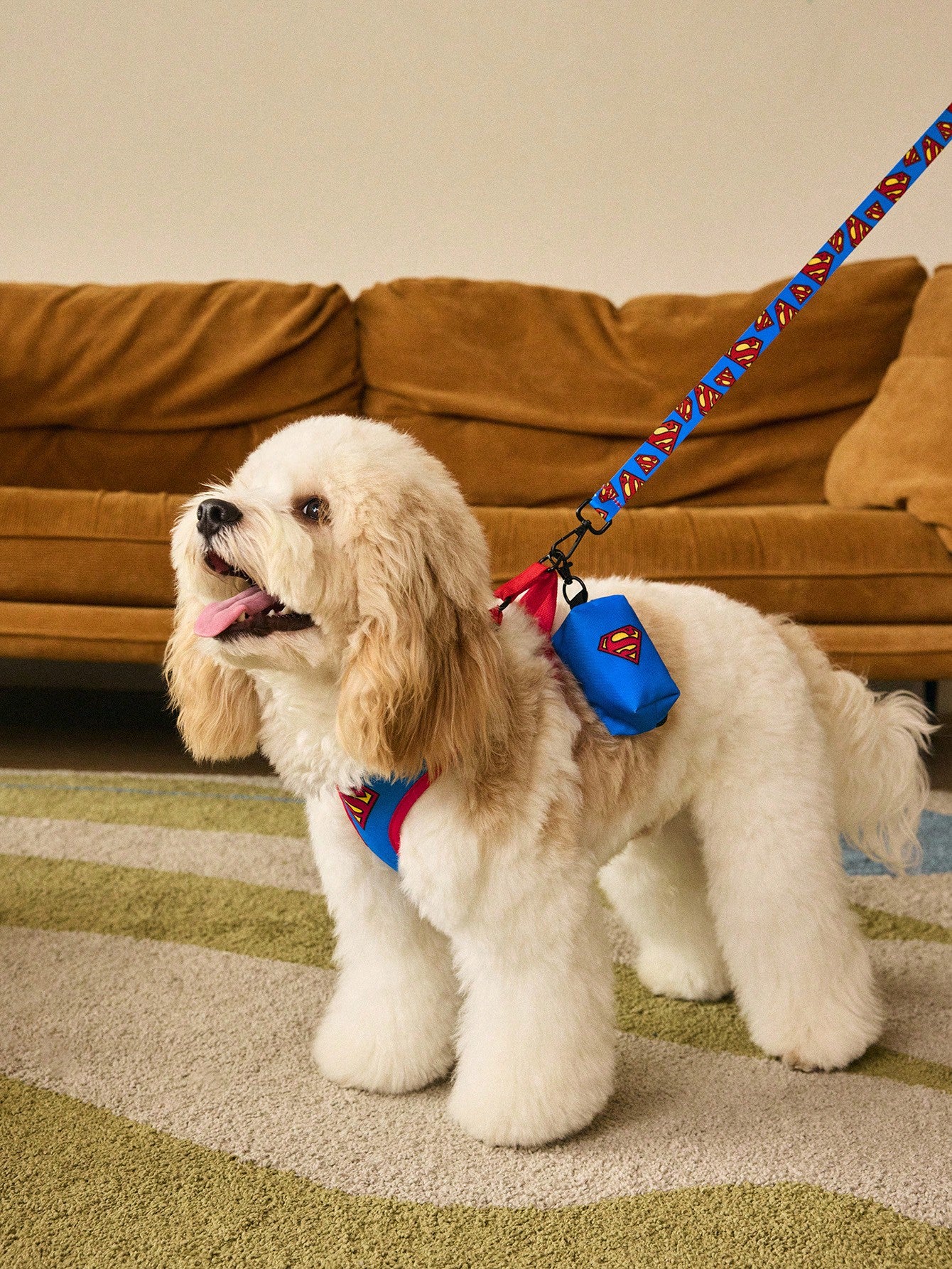 Multicolor cartoon pattern pet collar and leash set with adjustable polyester straps and portable storage bag for cats and dogs