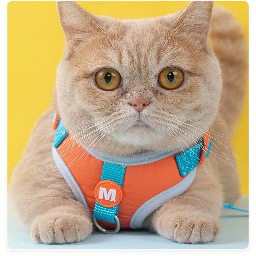 Adjustable nylon pet leash and vest-style harness set with cartoon duck design for cats and small dogs, suitable for outdoor walks or decorative use