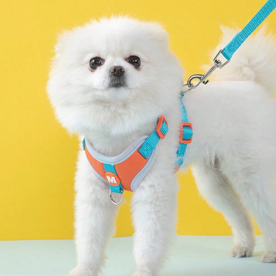 Adjustable nylon pet leash and vest-style harness set with cartoon duck design for cats and small dogs, suitable for outdoor walks or decorative use