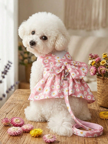Multicolor daisy floral printed pet collar and leash set with bowknot detail for cats and dogs
