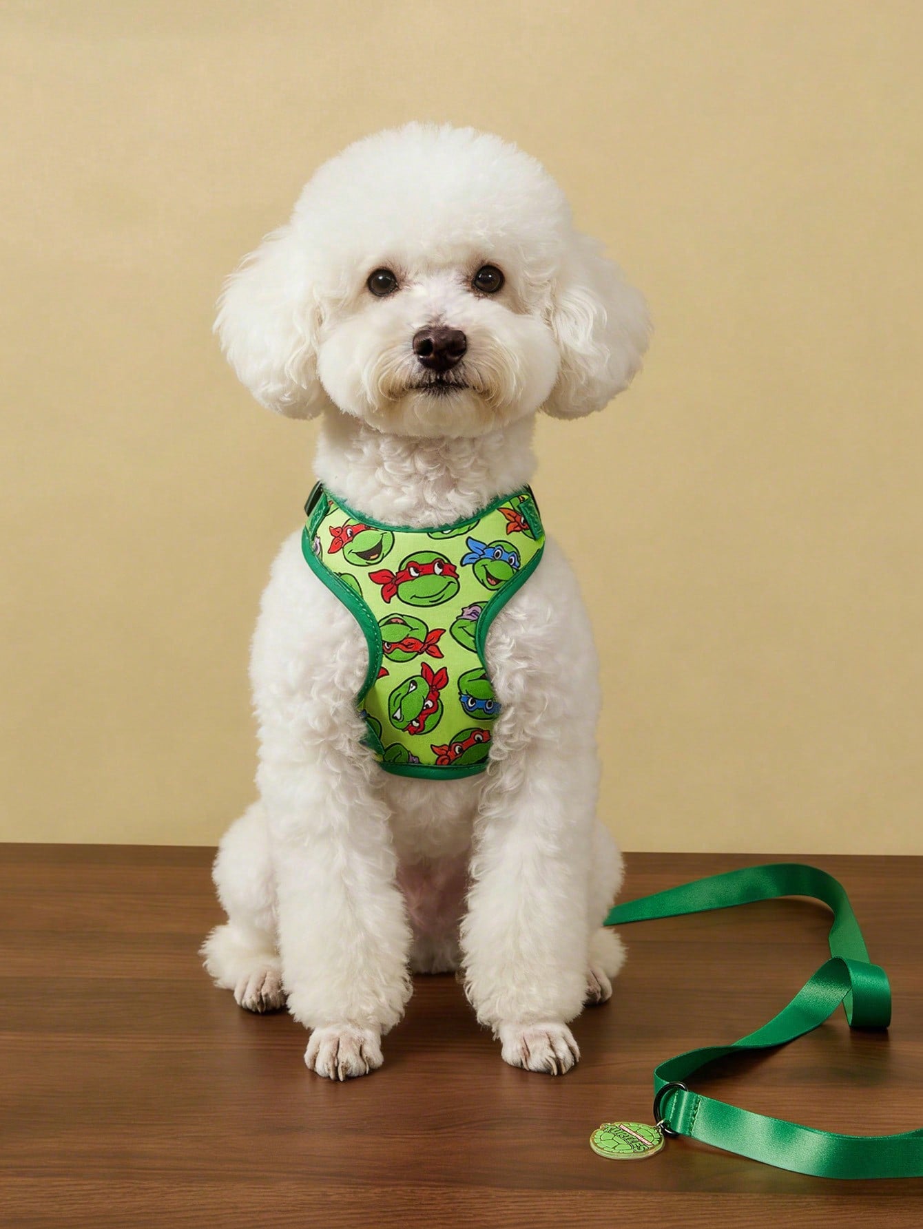 Multicolor cartoon pattern pet collar and leash set with adjustable polyester straps and portable storage bag for cats and dogs