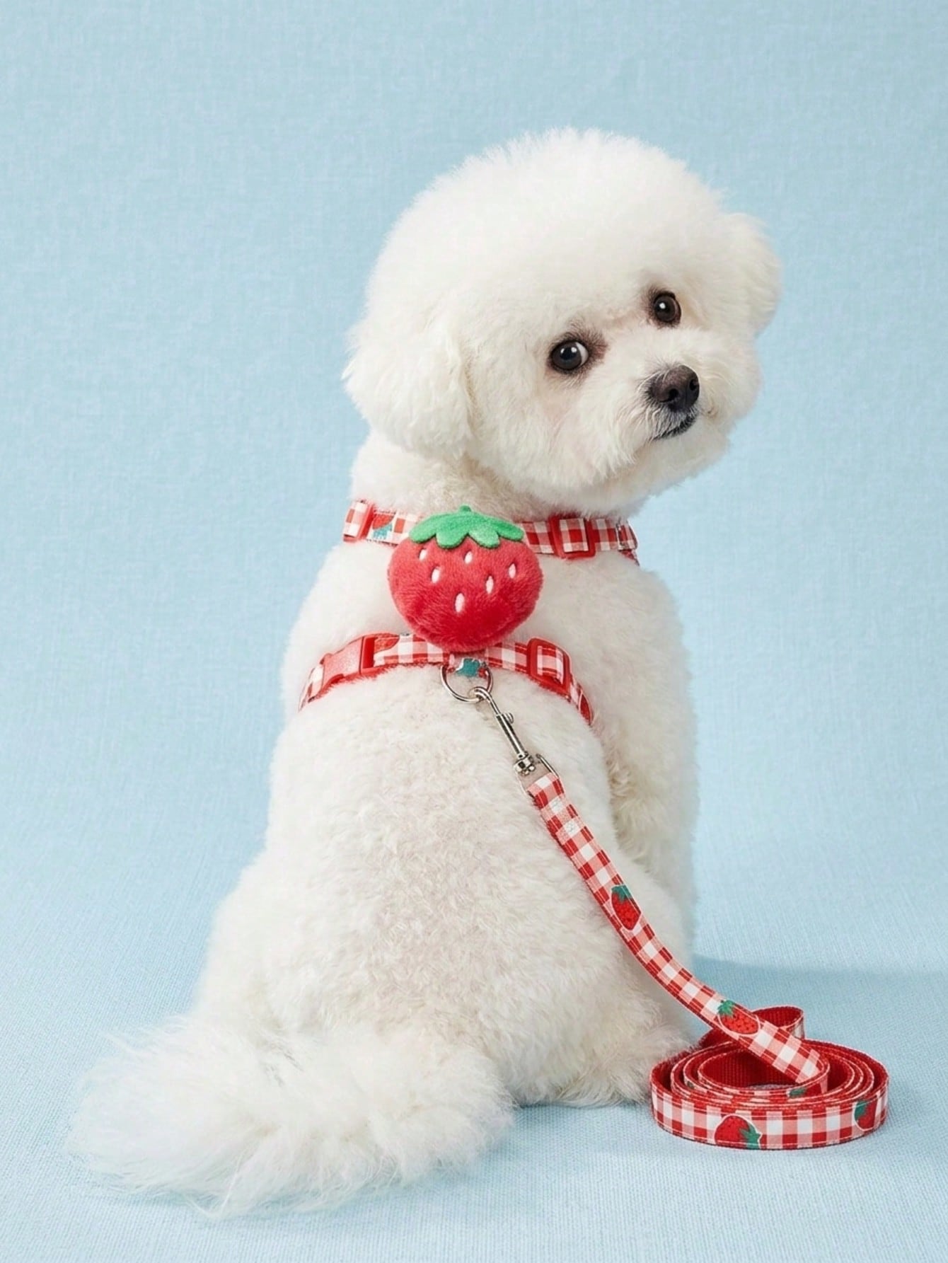Multicolor strawberry plaid pet harness and leash set for cats and dogs with Christmas pattern print