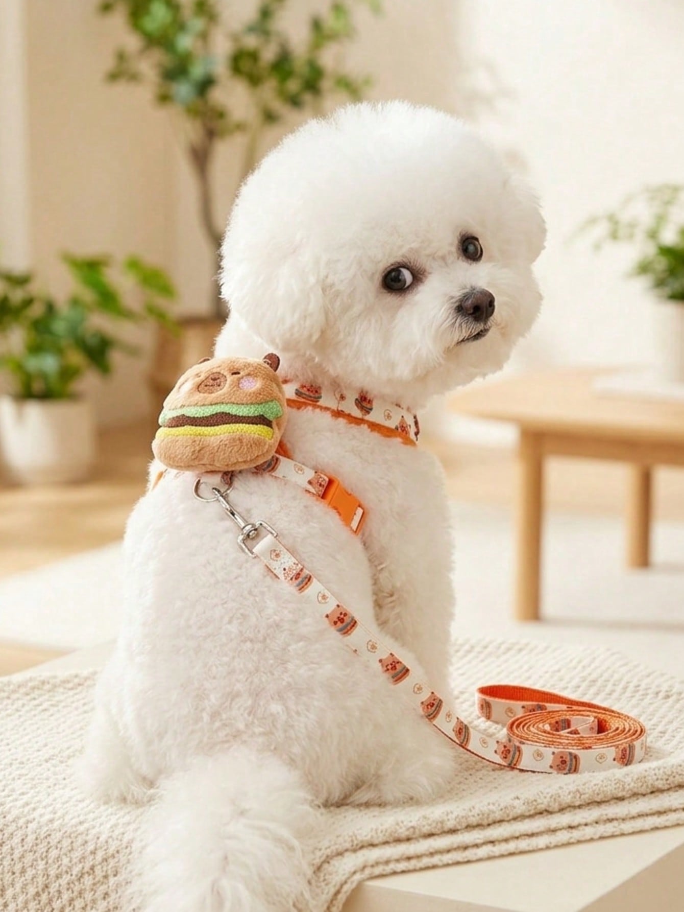 Multicolor polyester chest harness and leash set for cats and dogs with cute hamburger and hamster cartoon print.