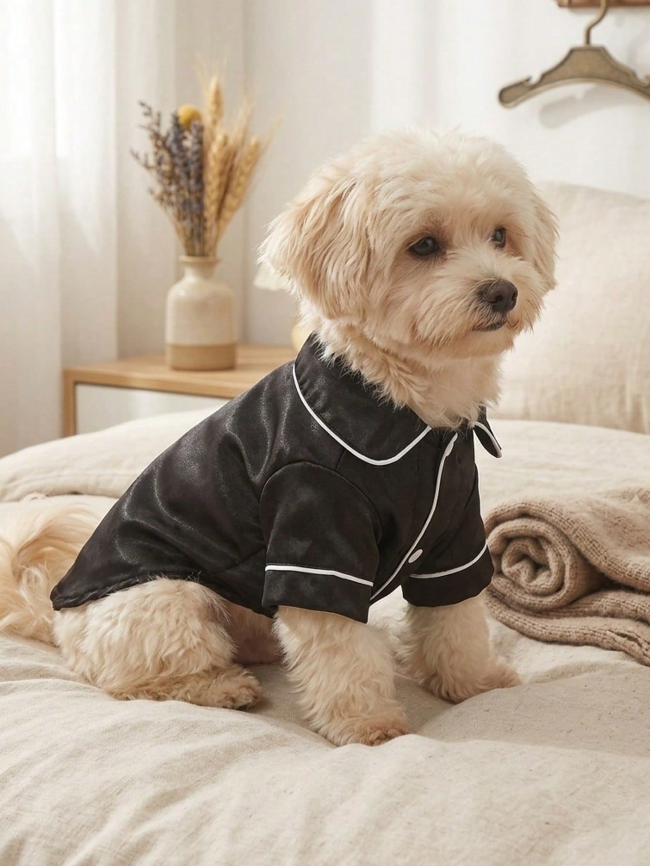A Simple And Casual High-End Style Suitable For Small Dog Breeds Such As Teddy Bears To Wear All Year Round. It Is Non Elastic, Lightweight, Breathable, Comfortable, And Soft. European And American Hot Selling Cats And Dogs Can Wear Pet Home Clothes (The