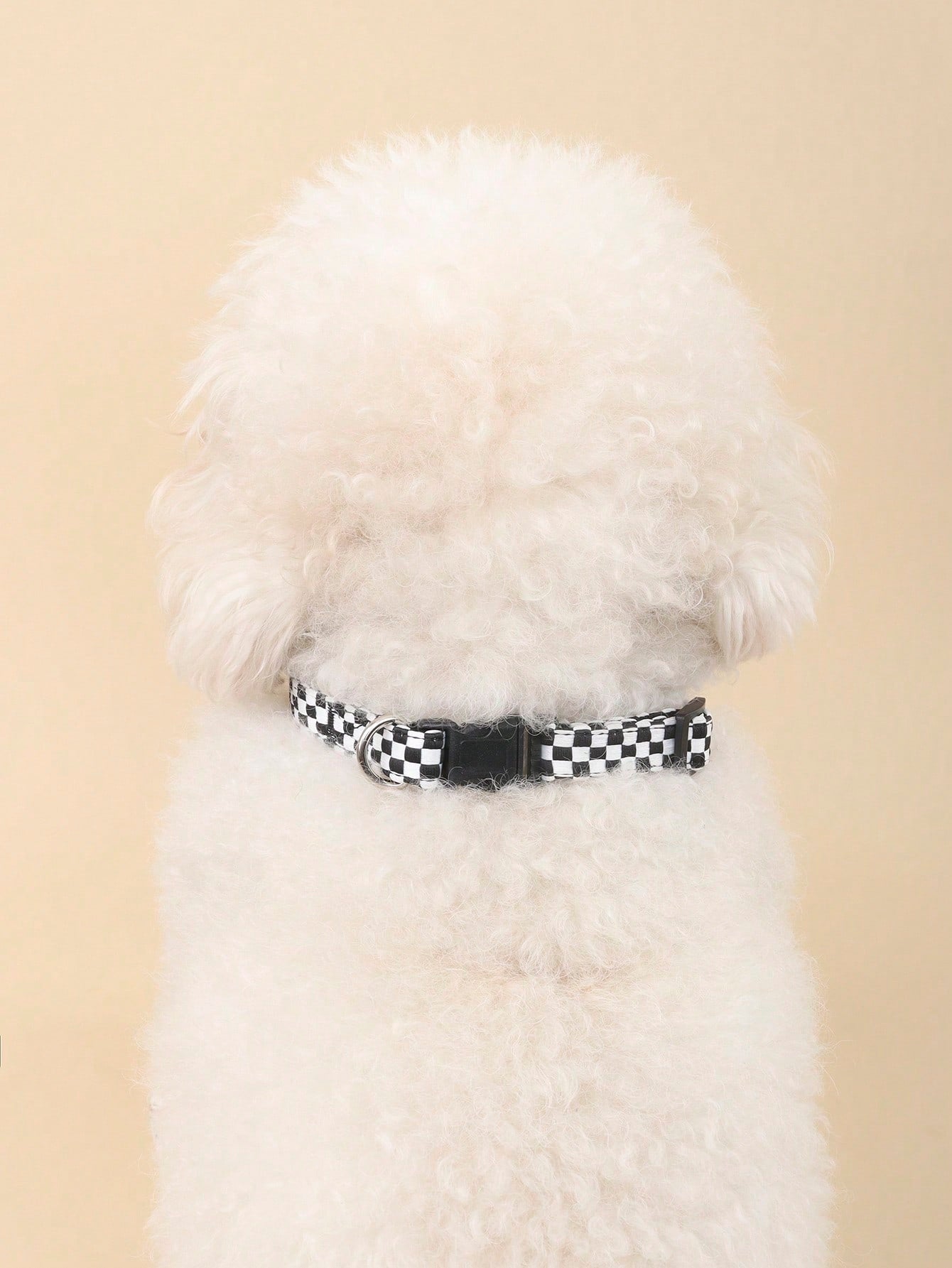 Black and white plaid polyester pet collar with geometric multicolor pattern for small and medium cats and dogs