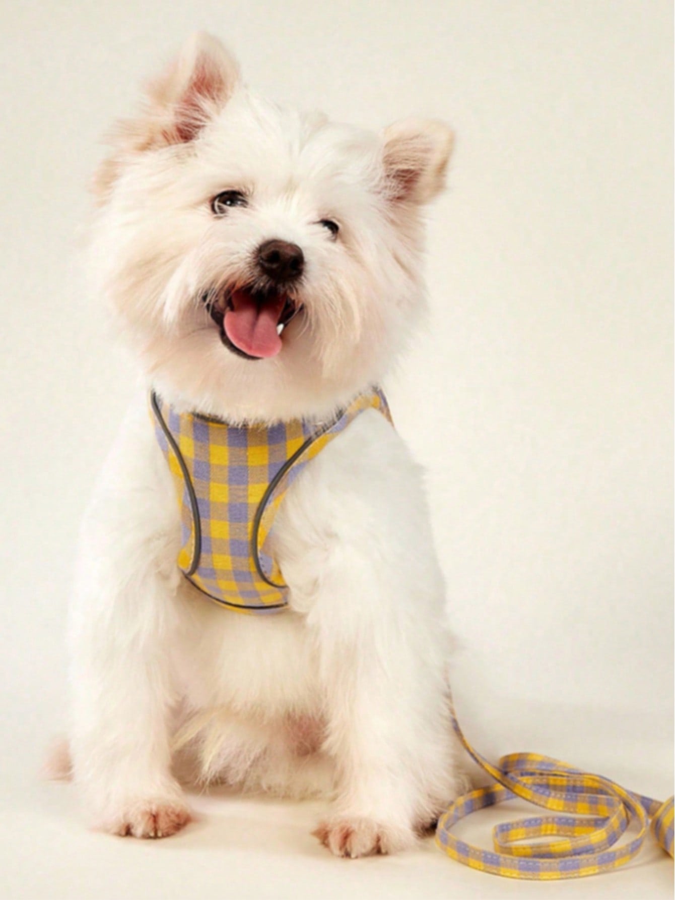Multicolor plaid breathable vest-type dog harness made from polyurethane PU, suitable for cats and small to medium-sized dogs for outdoor use.