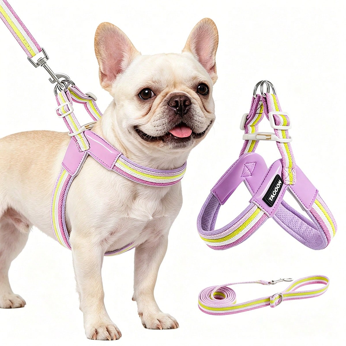 Multicolor colorblock no-pull dog harness 2-pack with step-in padded vest design, adjustable chest strap, and leash clip for small and medium dogs.