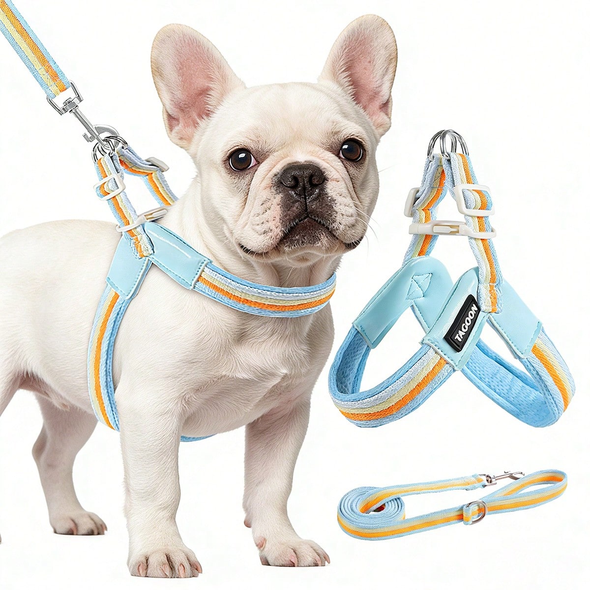 Multicolor colorblock no-pull dog harness 2-pack with step-in padded vest design, adjustable chest strap, and leash clip for small and medium dogs.
