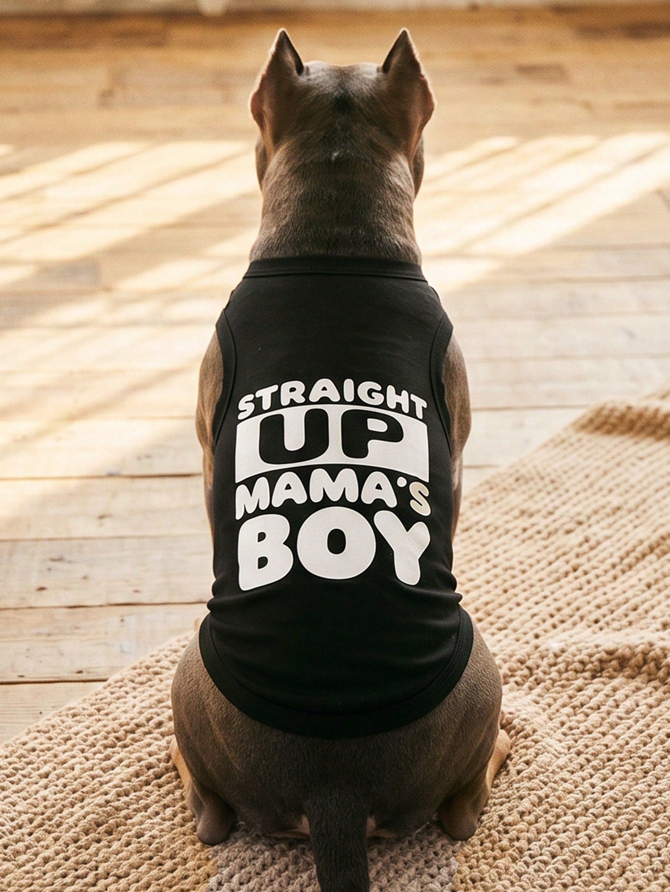 1pc "Mama's Boy" Slogan Graphic Pet Vest, Flea Repellent, Anti-Shedding, Insulation, Breathable For Small/Medium Dogs & Cats, Indoor/Outdoor Use