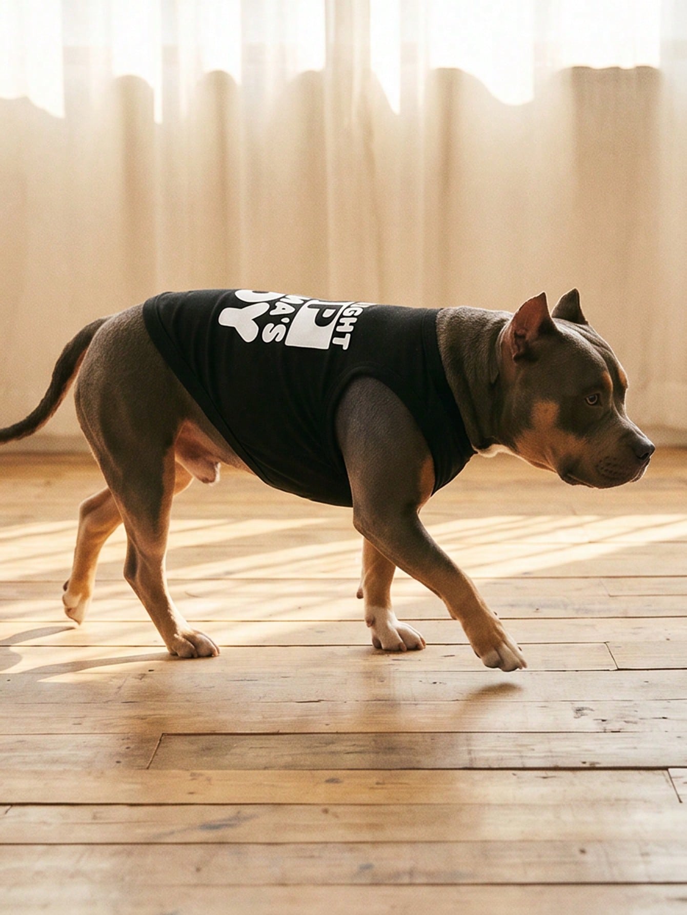 1pc "Mama's Boy" Slogan Graphic Pet Vest, Flea Repellent, Anti-Shedding, Insulation, Breathable For Small/Medium Dogs & Cats, Indoor/Outdoor Use