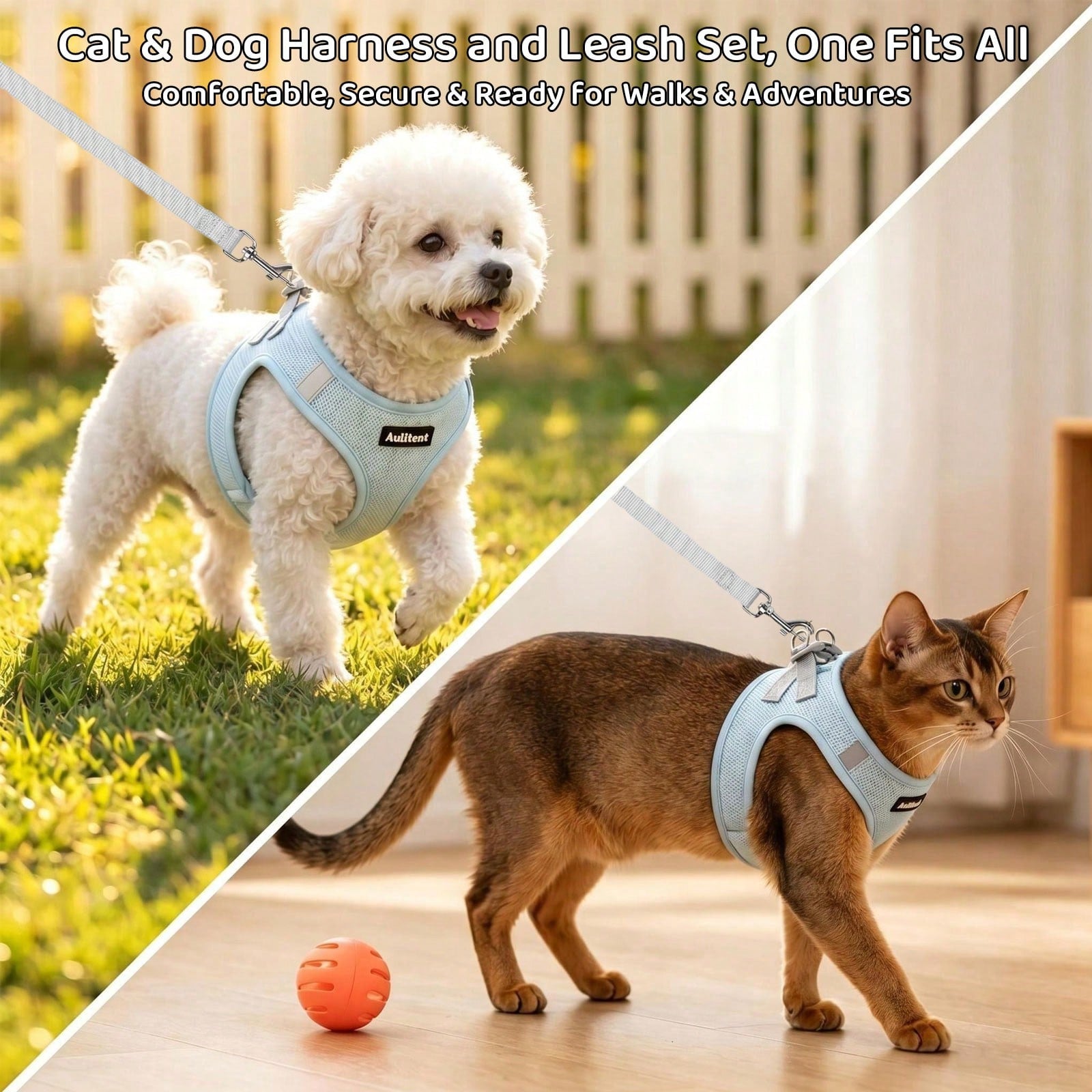 Colorblock reflective no-pull pet harness and 1.5m leash set for cats and small to medium dogs, featuring adjustable straps, breathable mesh, and anti-escape vest design.