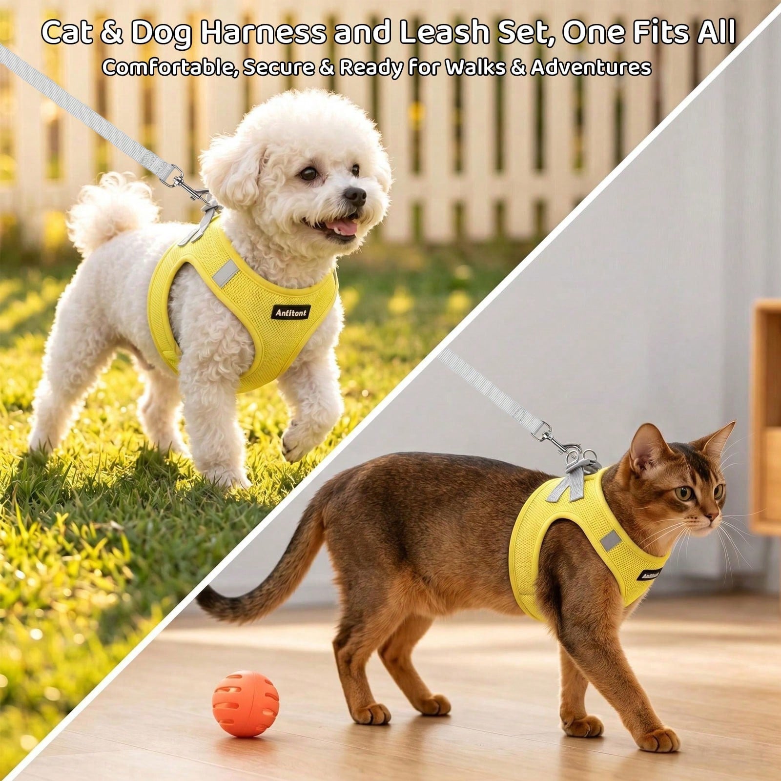 Colorblock reflective no-pull pet harness and 1.5m leash set for cats and small to medium dogs, featuring adjustable straps, breathable mesh, and anti-escape vest design.