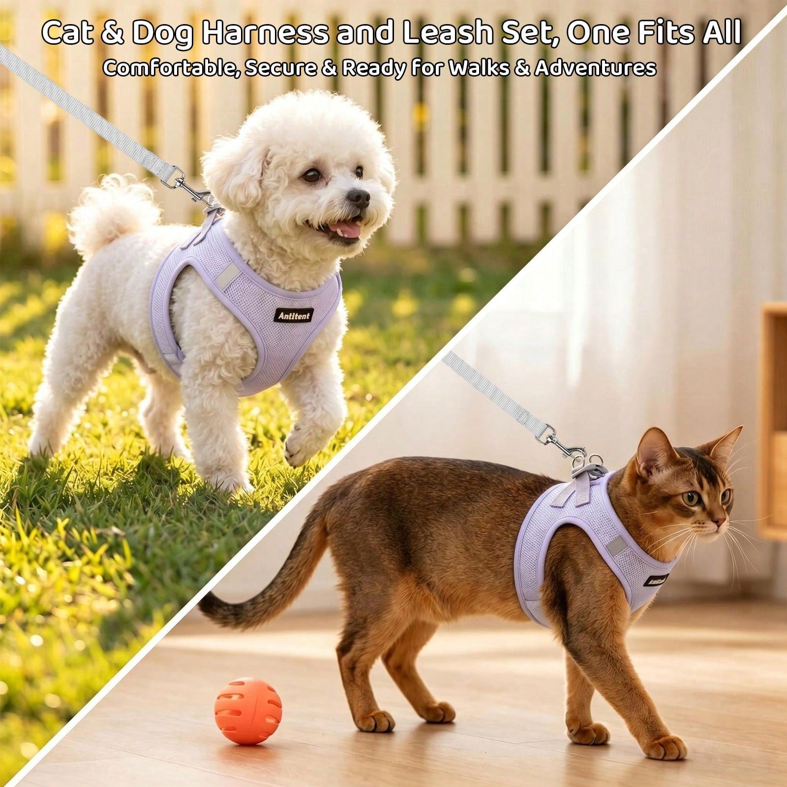 Colorblock reflective no-pull pet harness and 1.5m leash set for cats and small to medium dogs, featuring adjustable straps, breathable mesh, and anti-escape vest design.