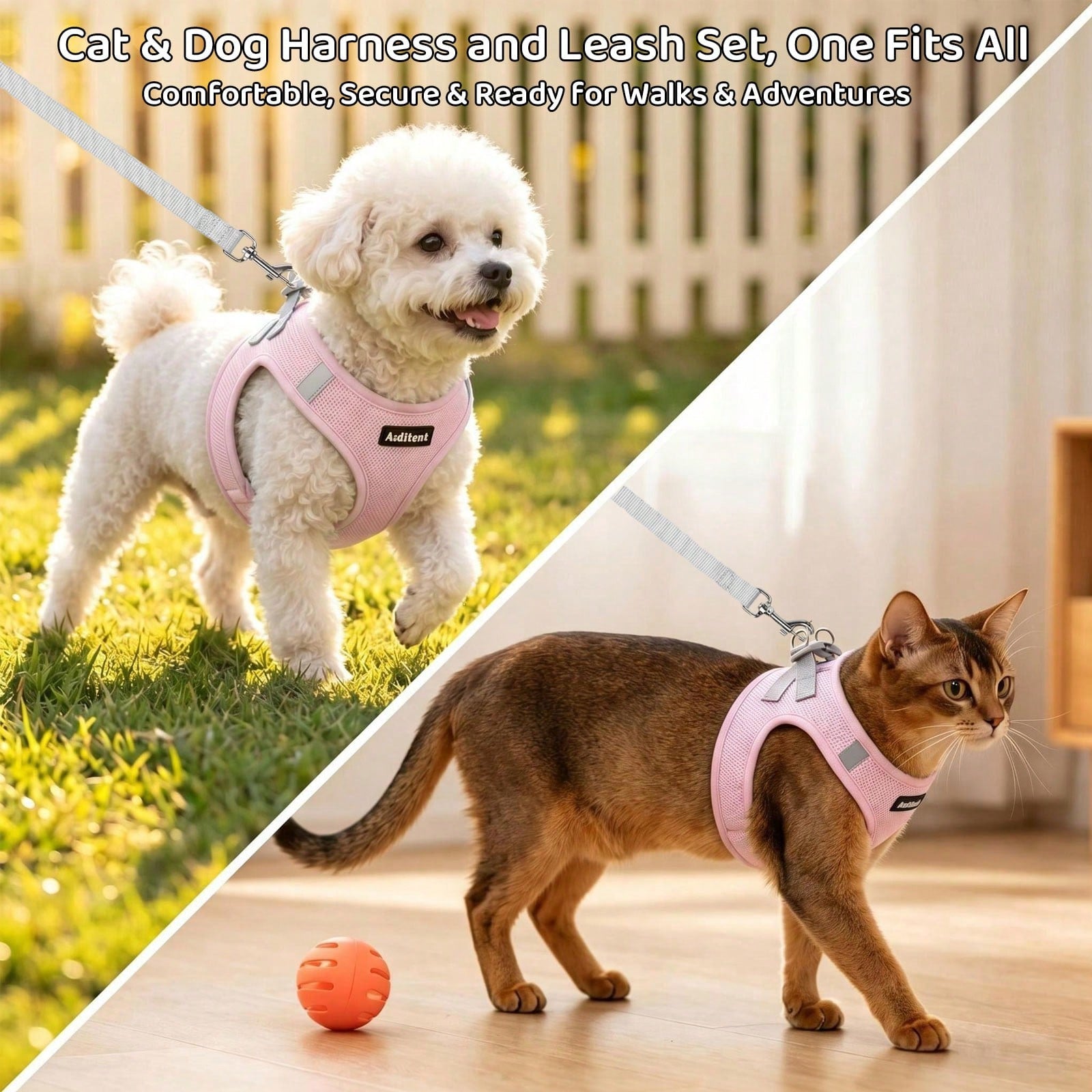 Colorblock reflective no-pull pet harness and 1.5m leash set for cats and small to medium dogs, featuring adjustable straps, breathable mesh, and anti-escape vest design.
