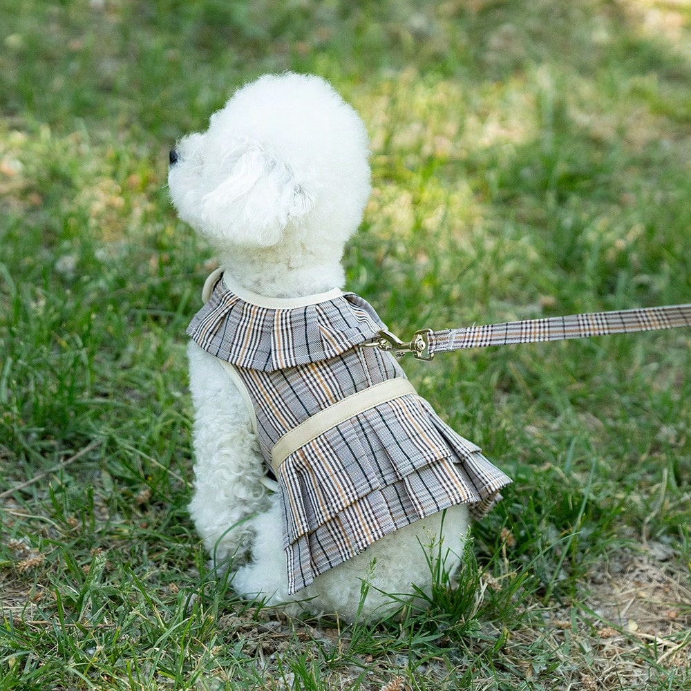 Multicolor plaid polyester dog harness and leash set with bow and ruffle design for small dogs, featuring a breathable chest strap for walking.