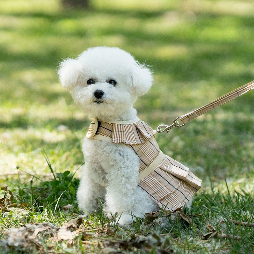 Multicolor plaid polyester dog harness and leash set with bow and ruffle design for small dogs, featuring a breathable chest strap for walking.