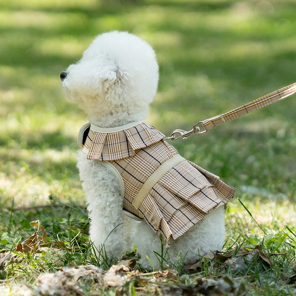 Multicolor plaid polyester dog harness and leash set with bow and ruffle design for small dogs, featuring a breathable chest strap for walking.