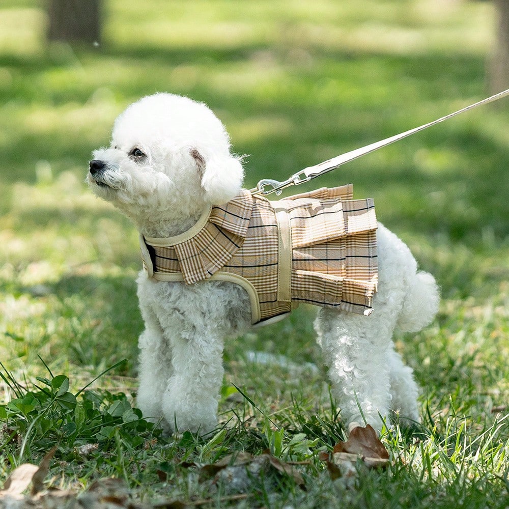 Multicolor plaid polyester dog harness and leash set with bow and ruffle design for small dogs, featuring a breathable chest strap for walking.