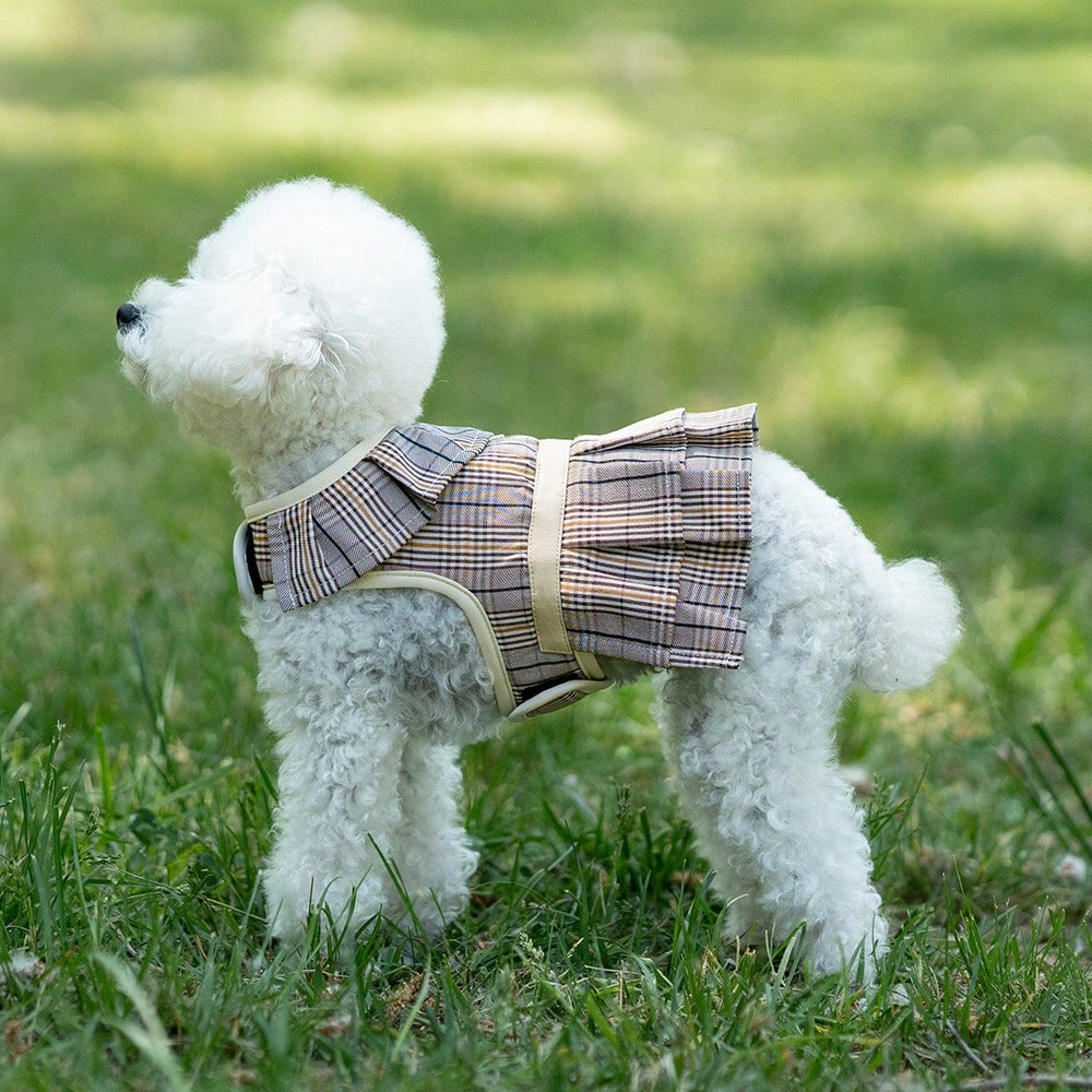 Multicolor plaid polyester dog harness and leash set with bow and ruffle design for small dogs, featuring a breathable chest strap for walking.