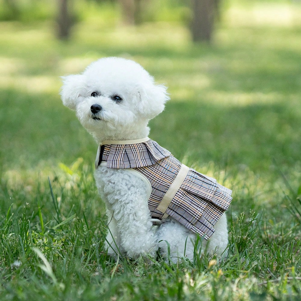 Multicolor plaid polyester dog harness and leash set with bow and ruffle design for small dogs, featuring a breathable chest strap for walking.