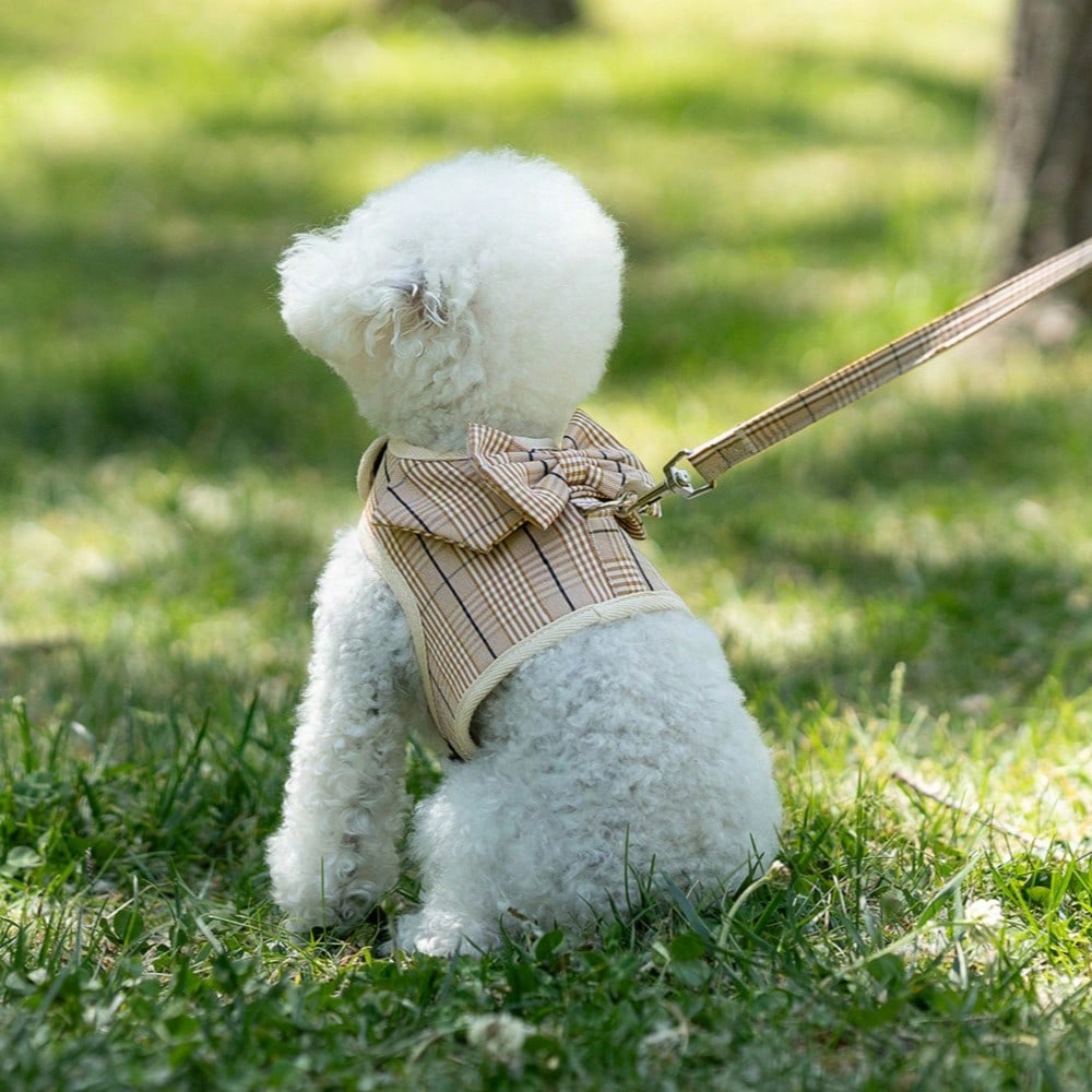 Multicolor plaid polyester dog harness and leash set with bow and ruffle design for small dogs, featuring a breathable chest strap for walking.