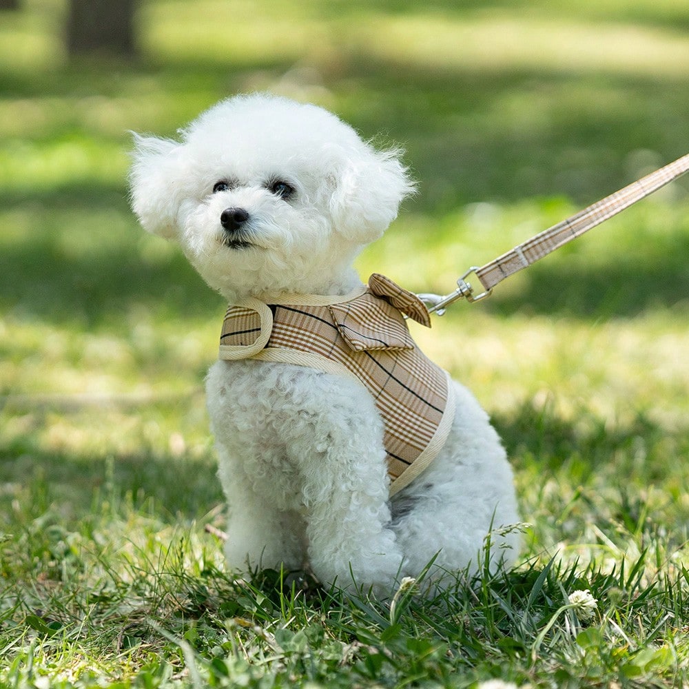 Multicolor plaid polyester dog harness and leash set with bow and ruffle design for small dogs, featuring a breathable chest strap for walking.