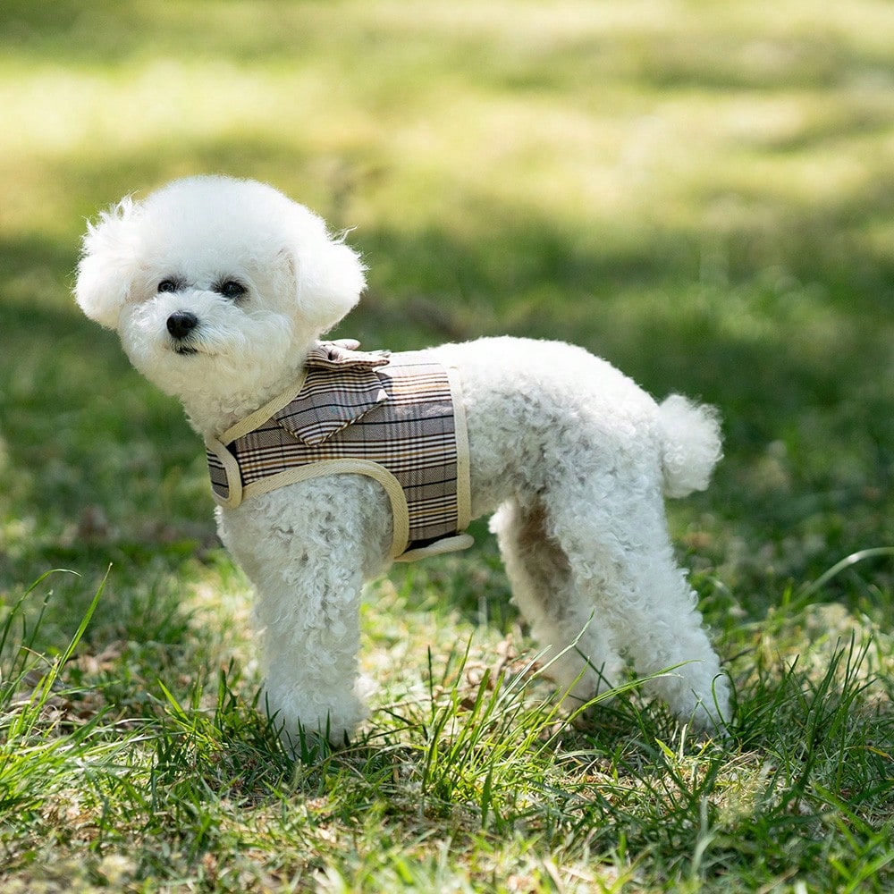 Multicolor plaid polyester dog harness and leash set with bow and ruffle design for small dogs, featuring a breathable chest strap for walking.