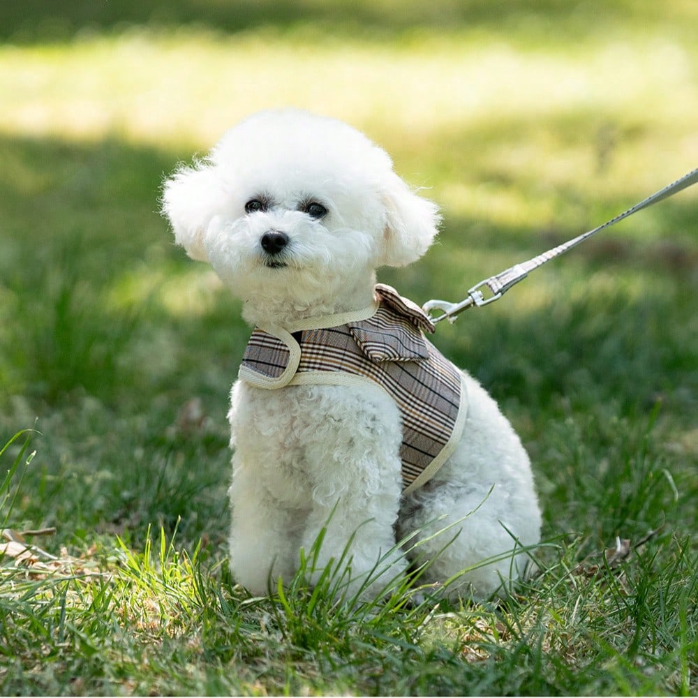 Multicolor plaid polyester dog harness and leash set with bow and ruffle design for small dogs, featuring a breathable chest strap for walking.