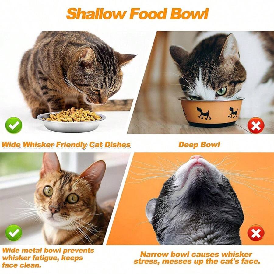 5 pack 7.09 inch 304 stainless steel shallow wide cat food bowls for whisker fatigue relief