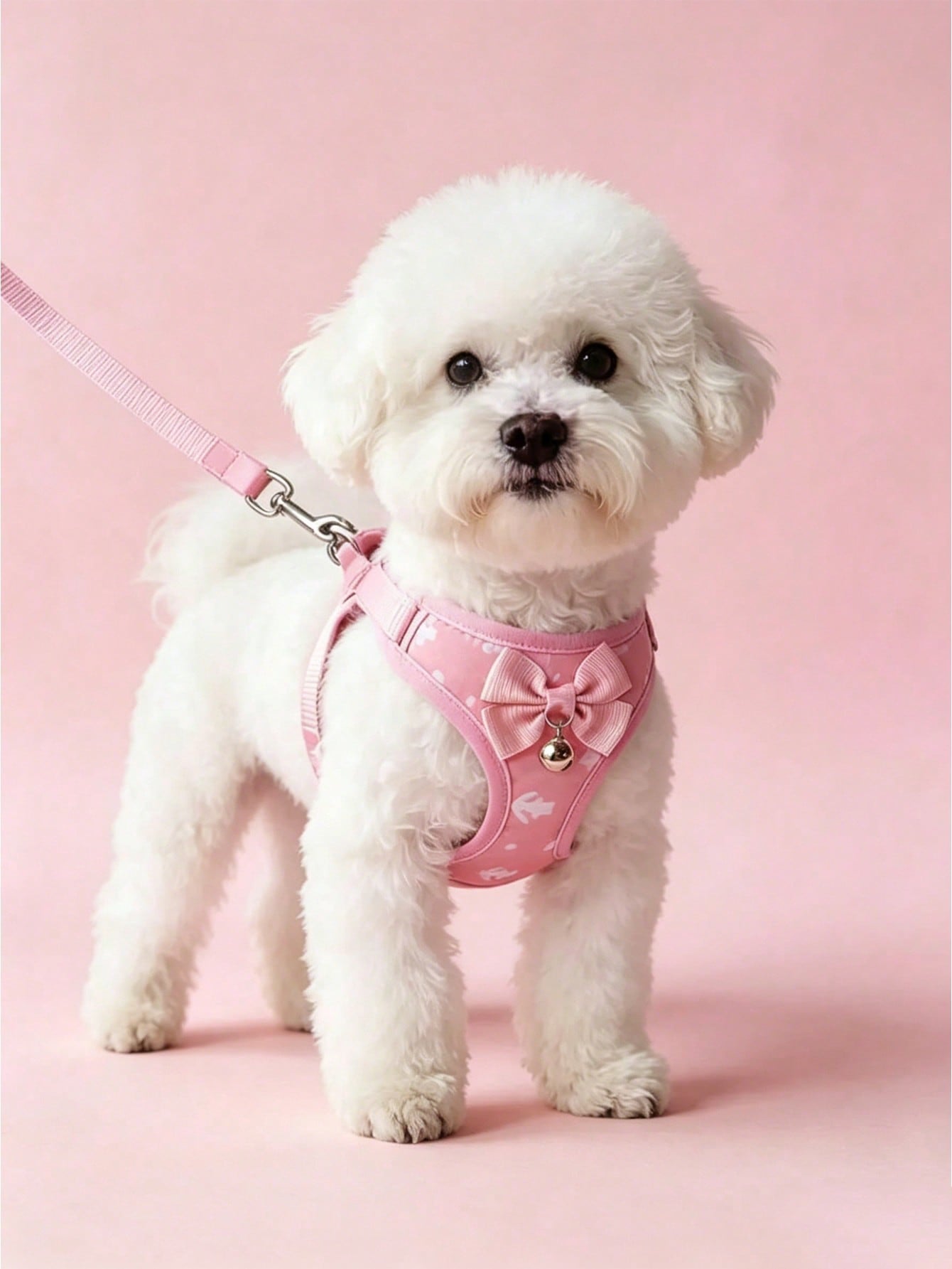 Multicolor pet harness and leash set with anchor pattern, breathable polyester mesh vest, bow and bell decor, adjustable anti-pull design for small dogs and cats