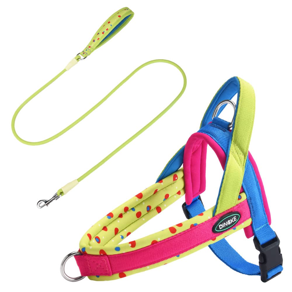 Soft padded colorblock dog harness for small to medium dogs and active puppies, made from polyester for everyday walking.