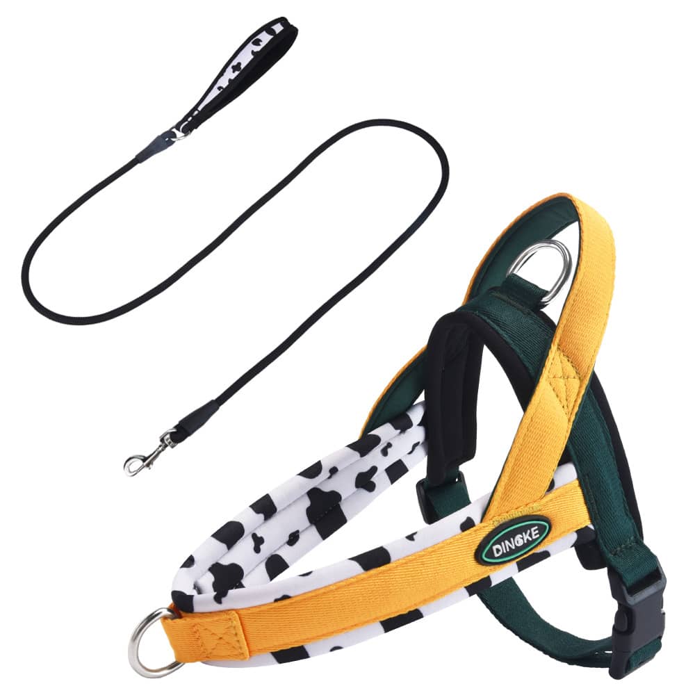 Soft padded colorblock dog harness for small to medium dogs and active puppies, made from polyester for everyday walking.