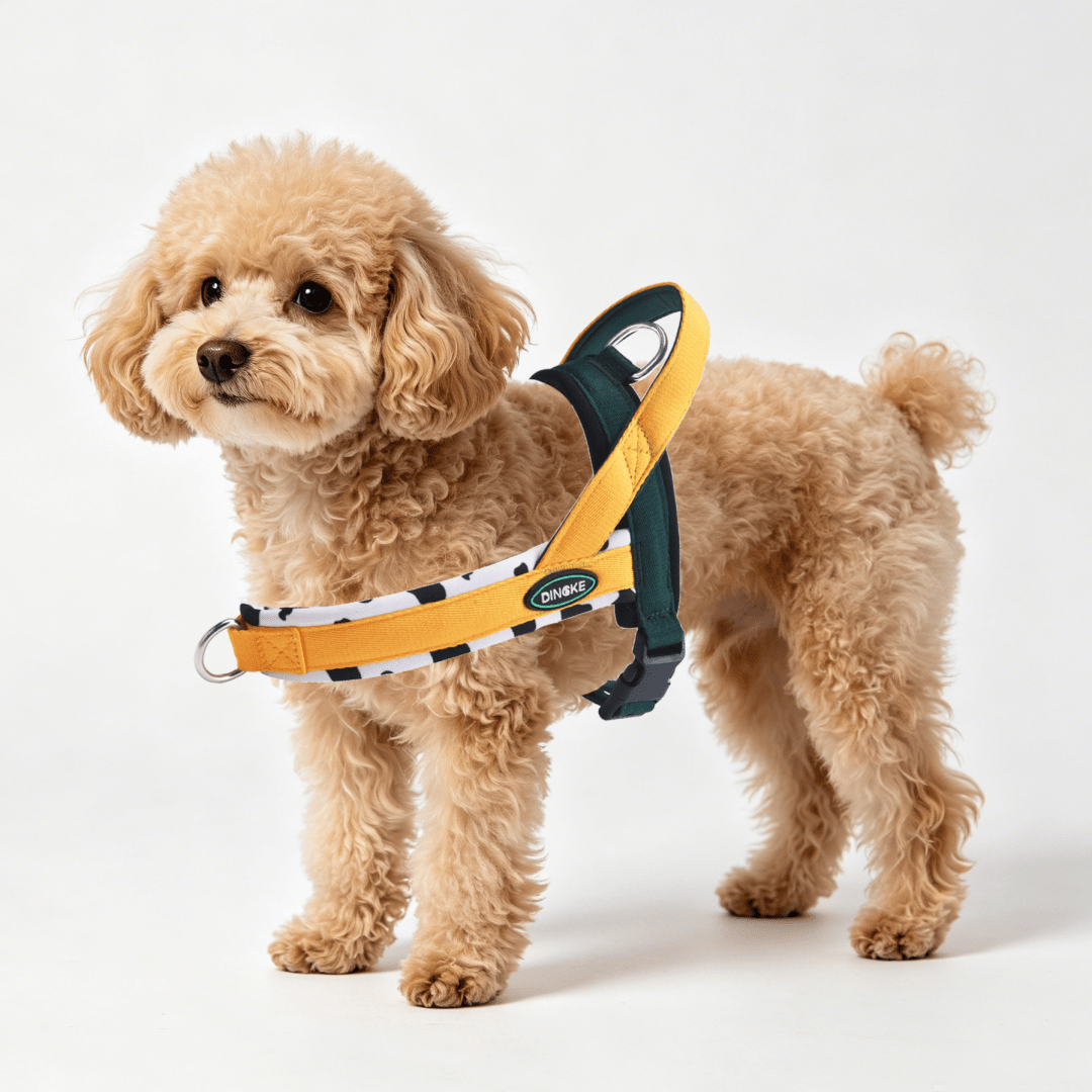 Soft padded colorblock dog harness for small to medium dogs and active puppies, made from polyester for everyday walking.