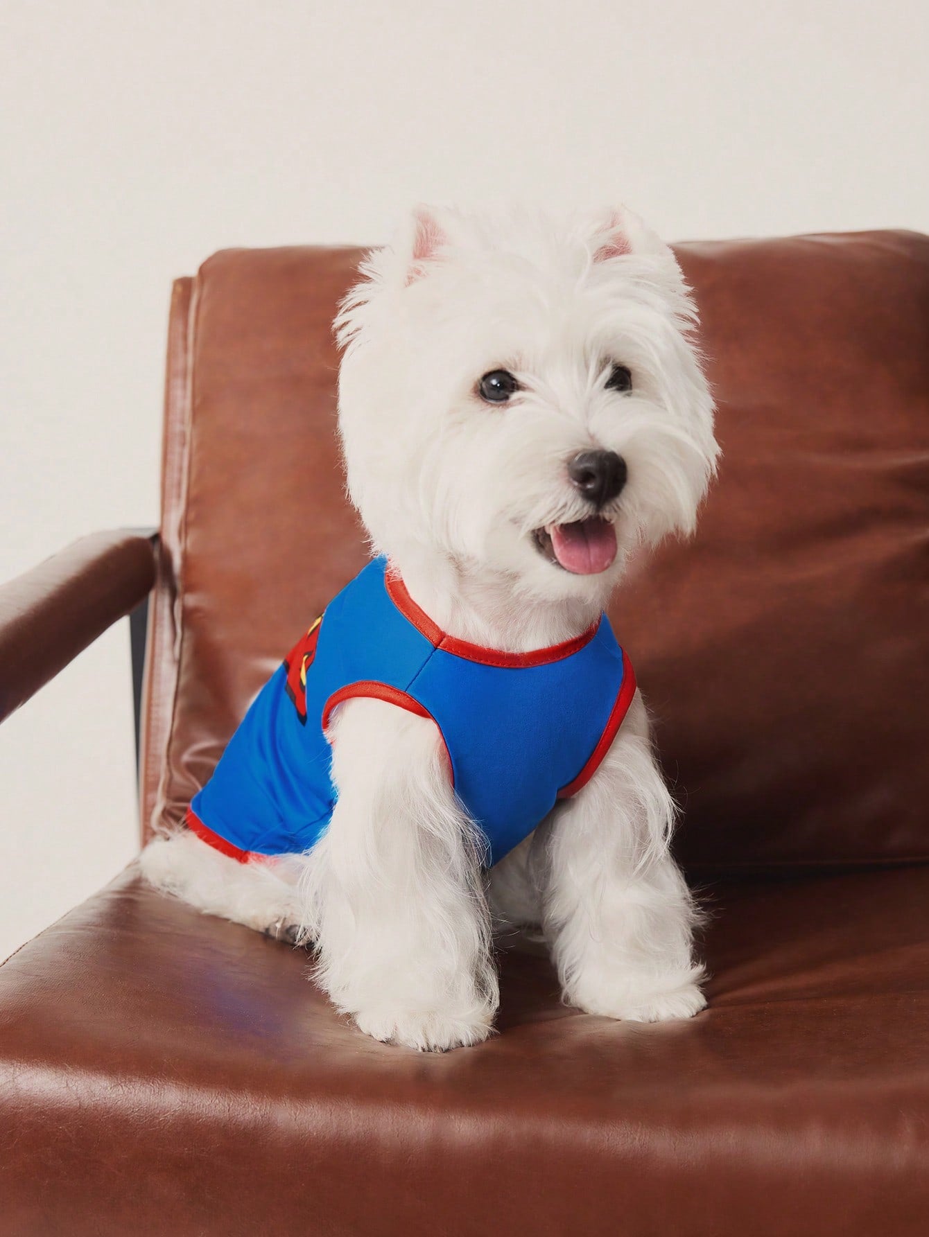 TEENAGE MUTANT NINJA TURTLES | Cartoon Turtle Shell Print Pet Vest