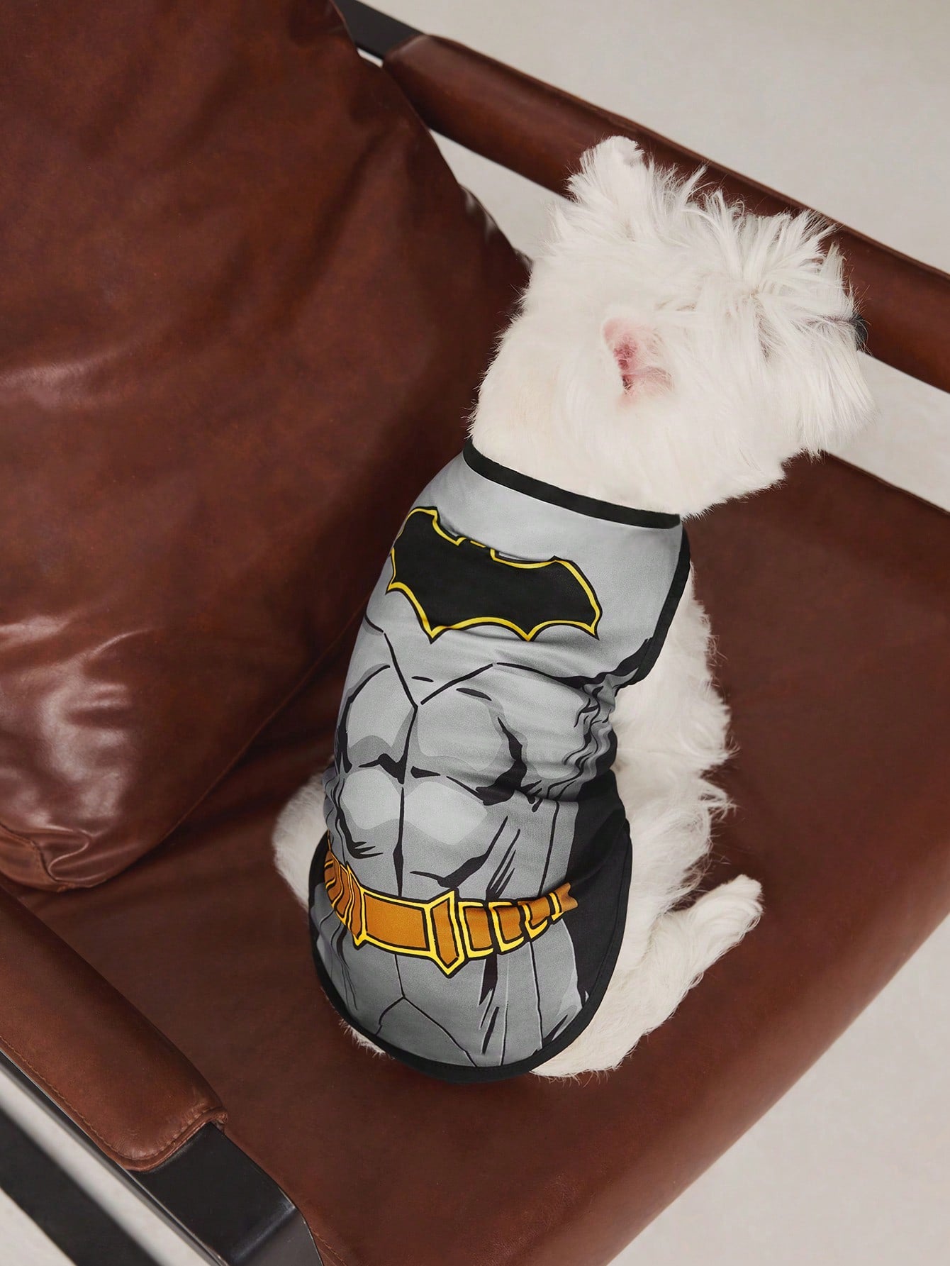 TEENAGE MUTANT NINJA TURTLES | Cartoon Turtle Shell Print Pet Vest