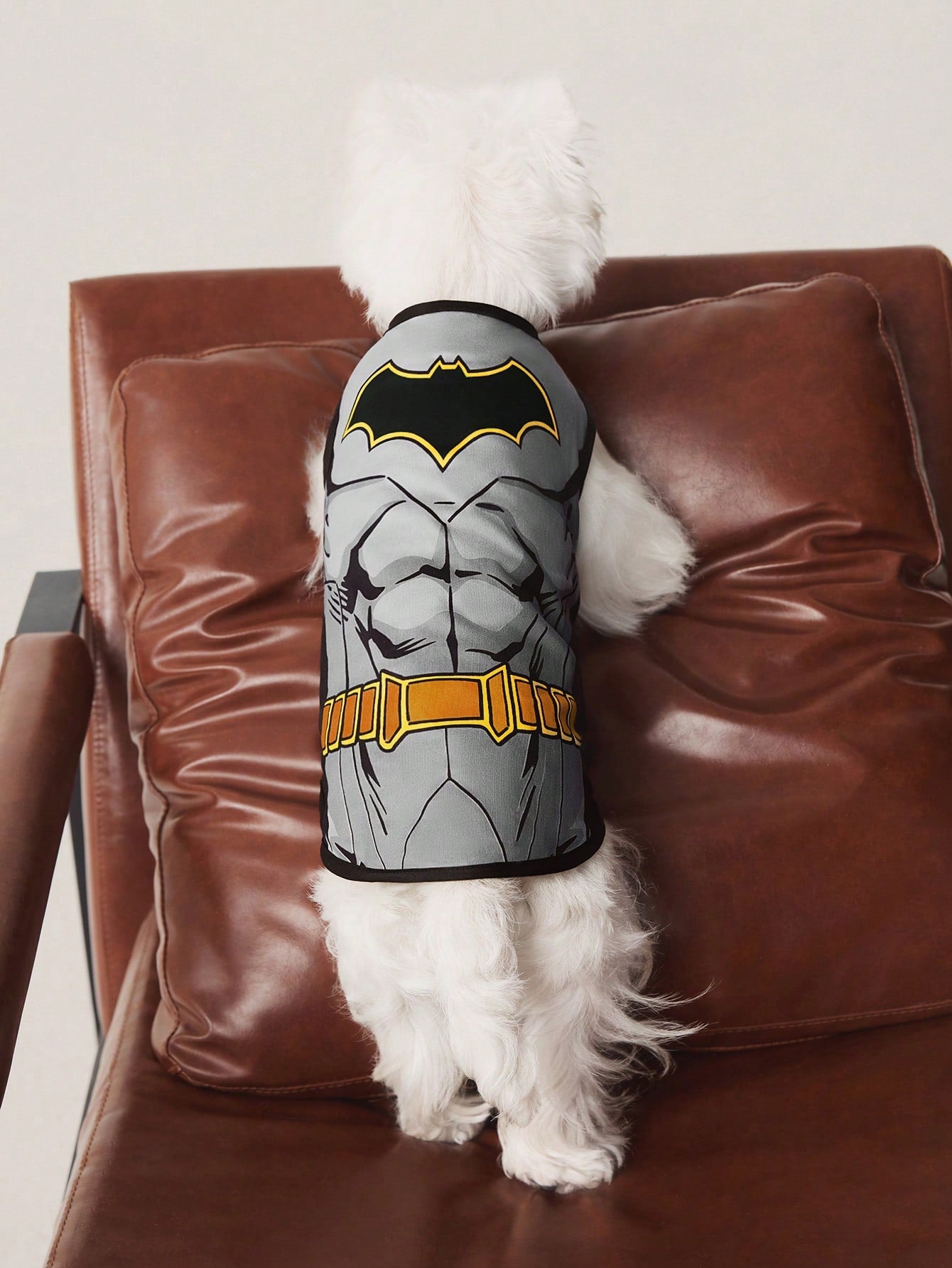 TEENAGE MUTANT NINJA TURTLES | Cartoon Turtle Shell Print Pet Vest