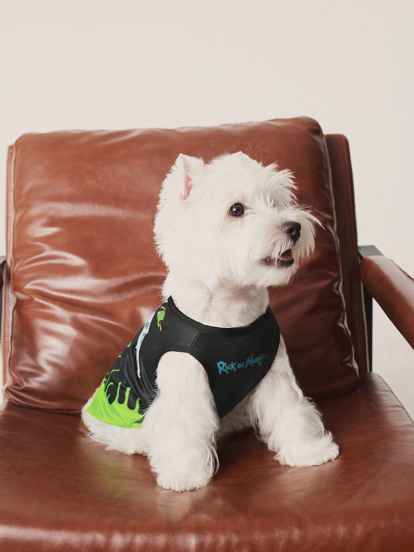 TEENAGE MUTANT NINJA TURTLES | Cartoon Turtle Shell Print Pet Vest
