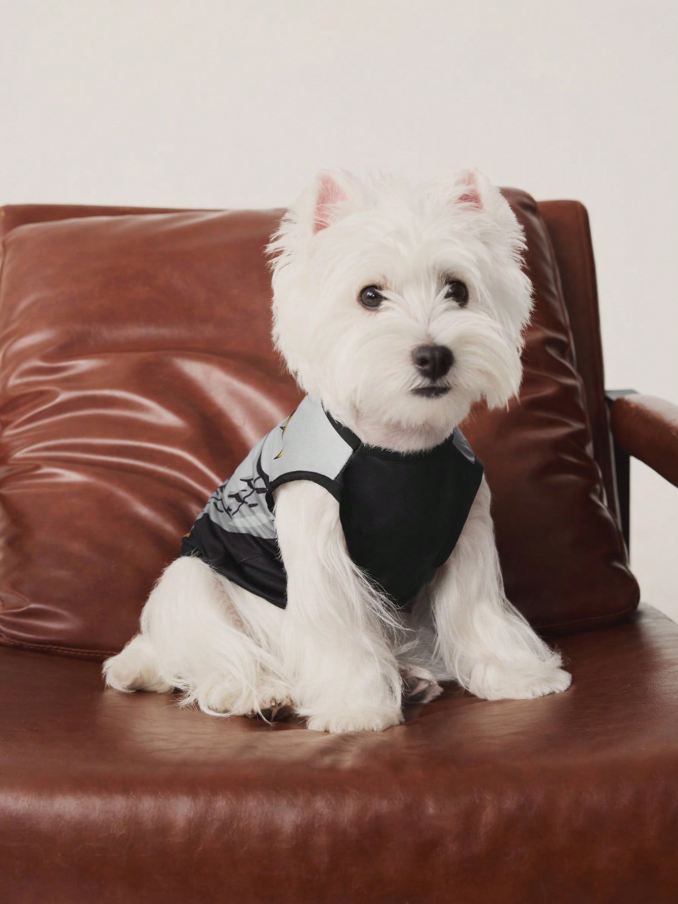 TEENAGE MUTANT NINJA TURTLES | Cartoon Turtle Shell Print Pet Vest