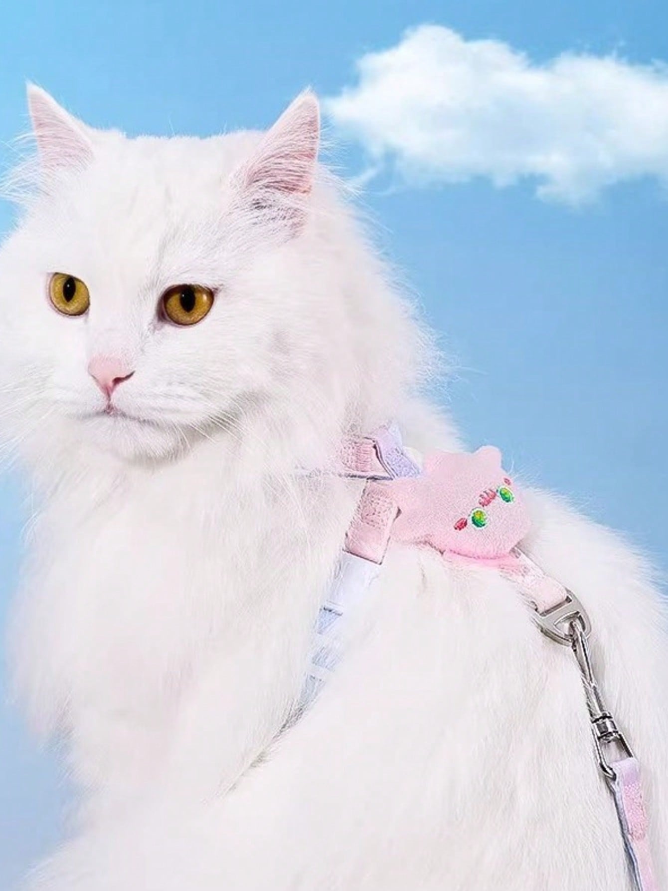 Multicolor polyester cat harness and leash set with bow-knot chest strap, escape-proof design, and soft comfortable fit for small and medium cats outdoors