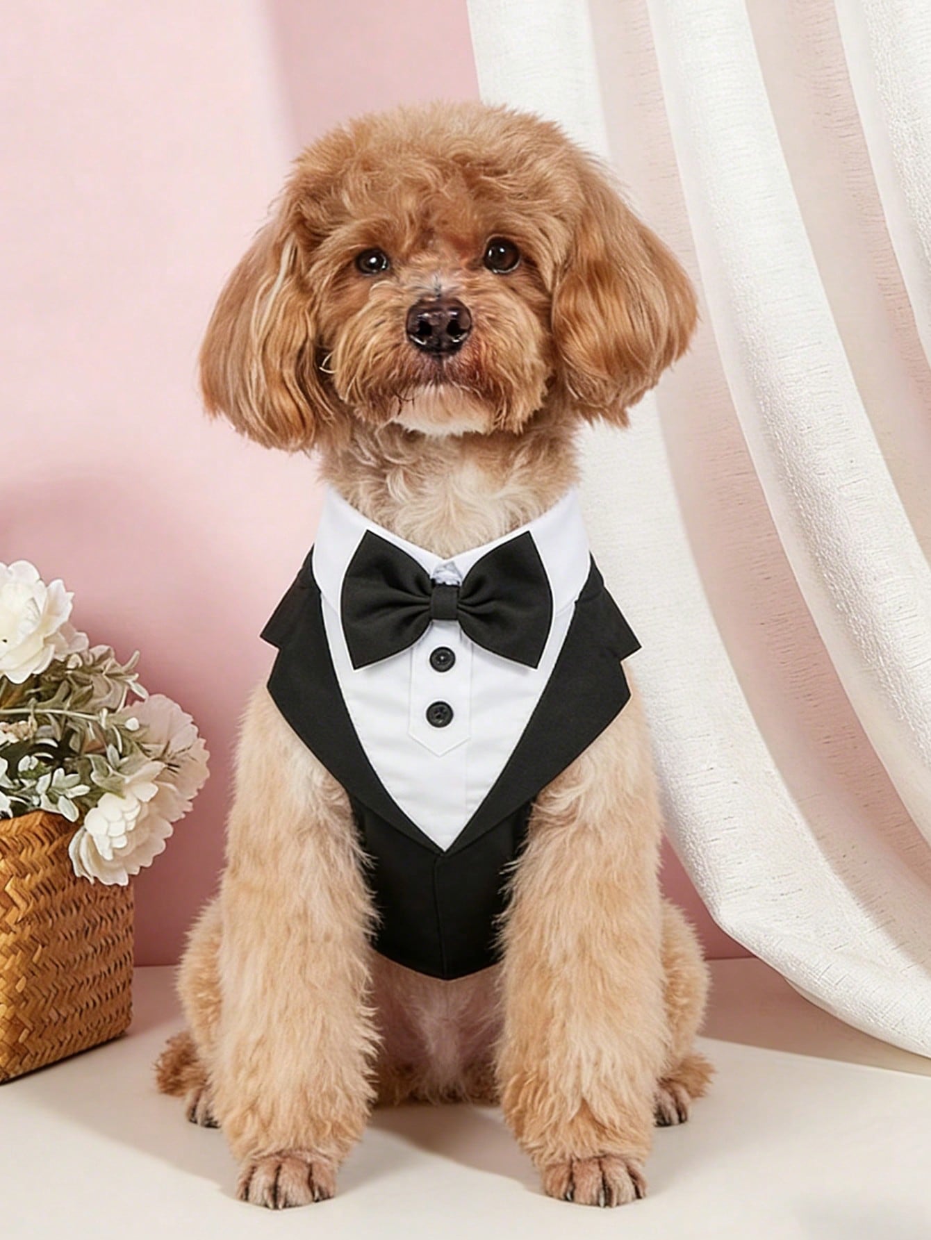 Black and white colorblock pet tuxedo harness vest with bow tie for small and medium dogs or cats, formal polyester vest for weddings and birthdays