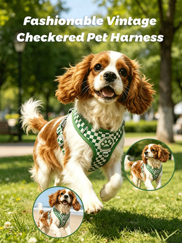 Checkered dog harness and leash set with soft breathable mesh, adjustable fit, back circular ring, and matching leash for small dogs.