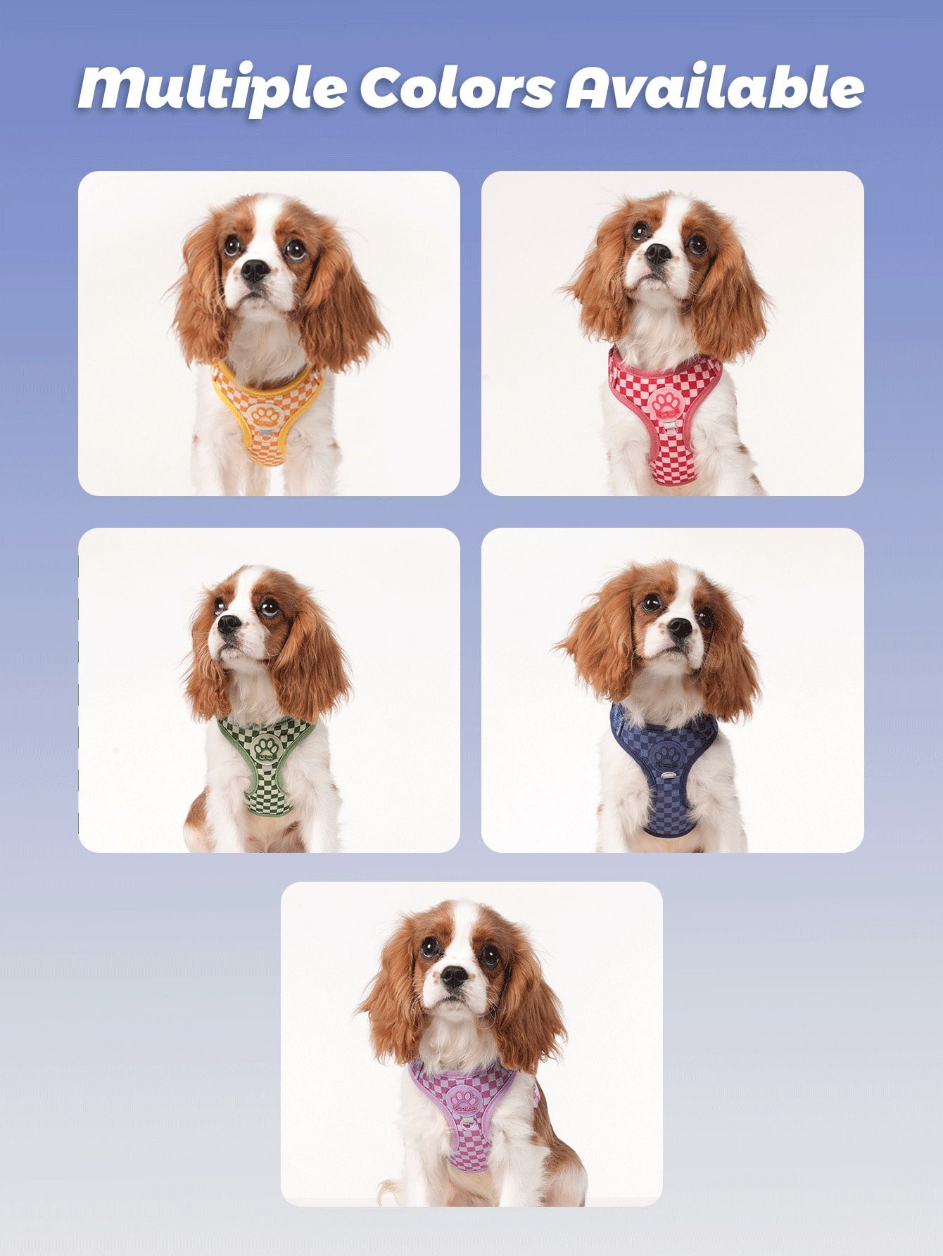 Checkered dog harness and leash set with soft breathable mesh, adjustable fit, back circular ring, and matching leash for small dogs.