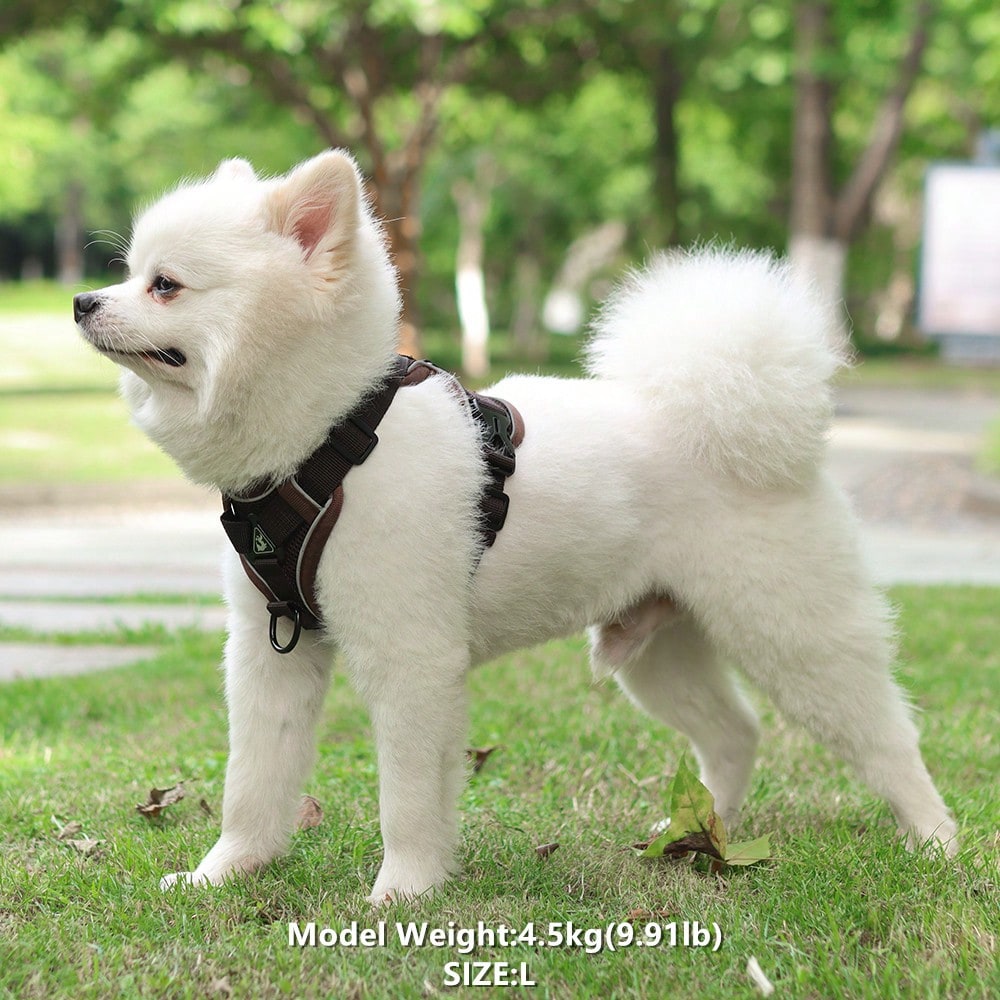 Coffee brown reflective pet harness and leash set with adjustable anti-escape chest strap for cats and small dogs