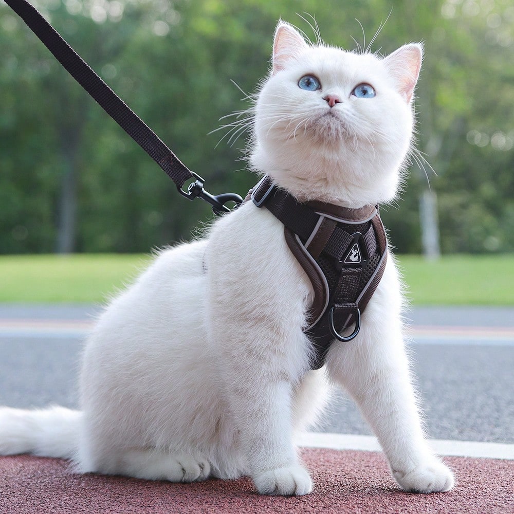 Coffee brown reflective pet harness and leash set with adjustable anti-escape chest strap for cats and small dogs