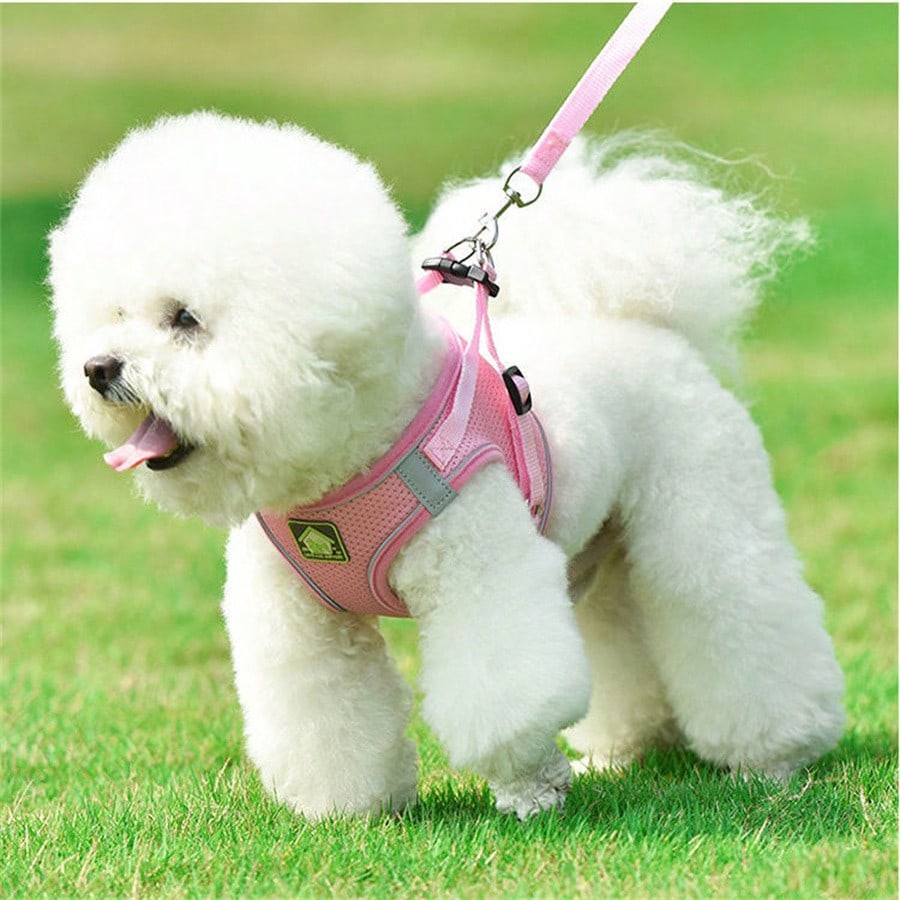 Pink vest-style pet harness and leash set with fruit and vegetable pattern, reflective adjustable polyester design for cats and puppies