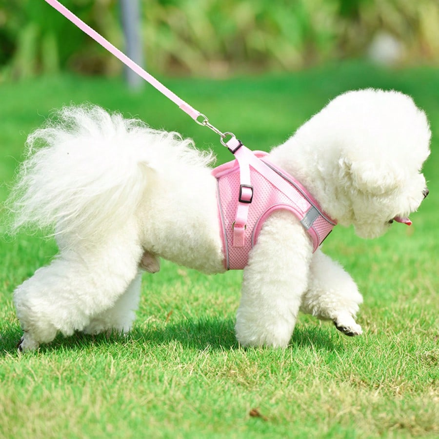 Pink vest-style pet harness and leash set with fruit and vegetable pattern, reflective adjustable polyester design for cats and puppies