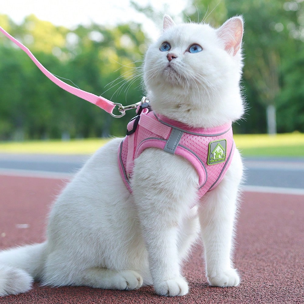 Pink vest-style pet harness and leash set with fruit and vegetable pattern, reflective adjustable polyester design for cats and puppies