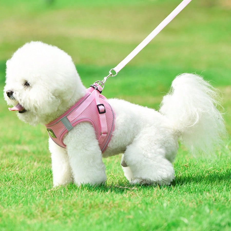 Pink vest-style pet harness and leash set with fruit and vegetable pattern, reflective adjustable polyester design for cats and puppies