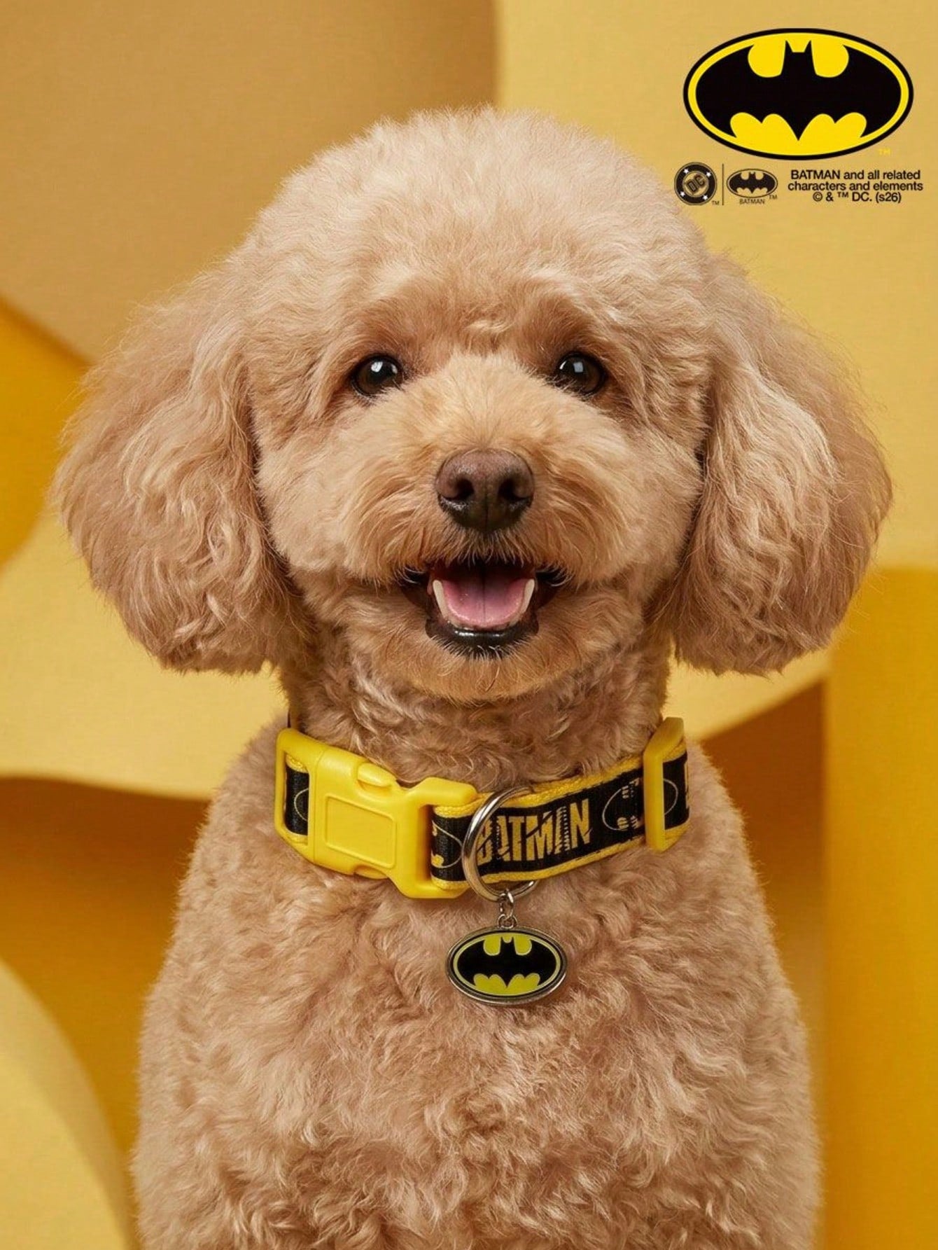 Black polyamide dog collar with Halloween letter print design for dogs